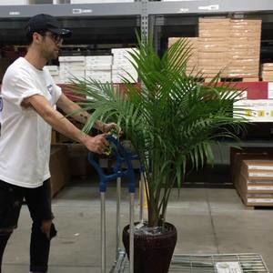 Meet your Posher, Coleman